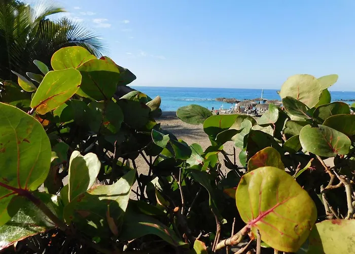 Apartamento Brisas Del Mar Costa Adeje (Tenerife)