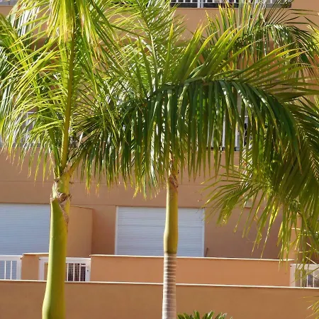 Brisas Del Mar * Адехе